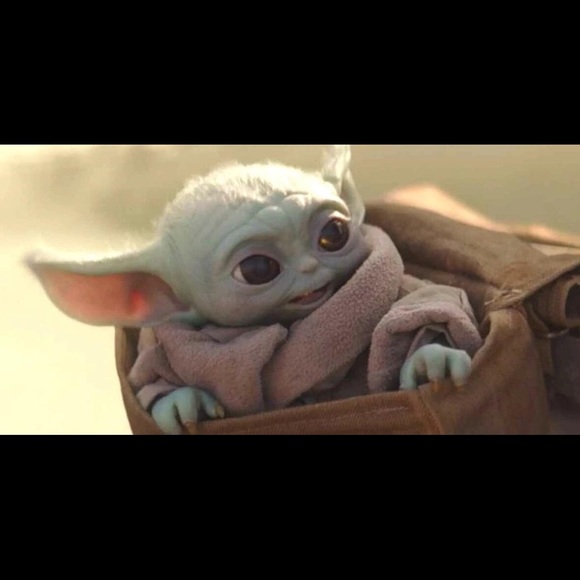 Meet your Posher, Kathy - Picture 1 of 1